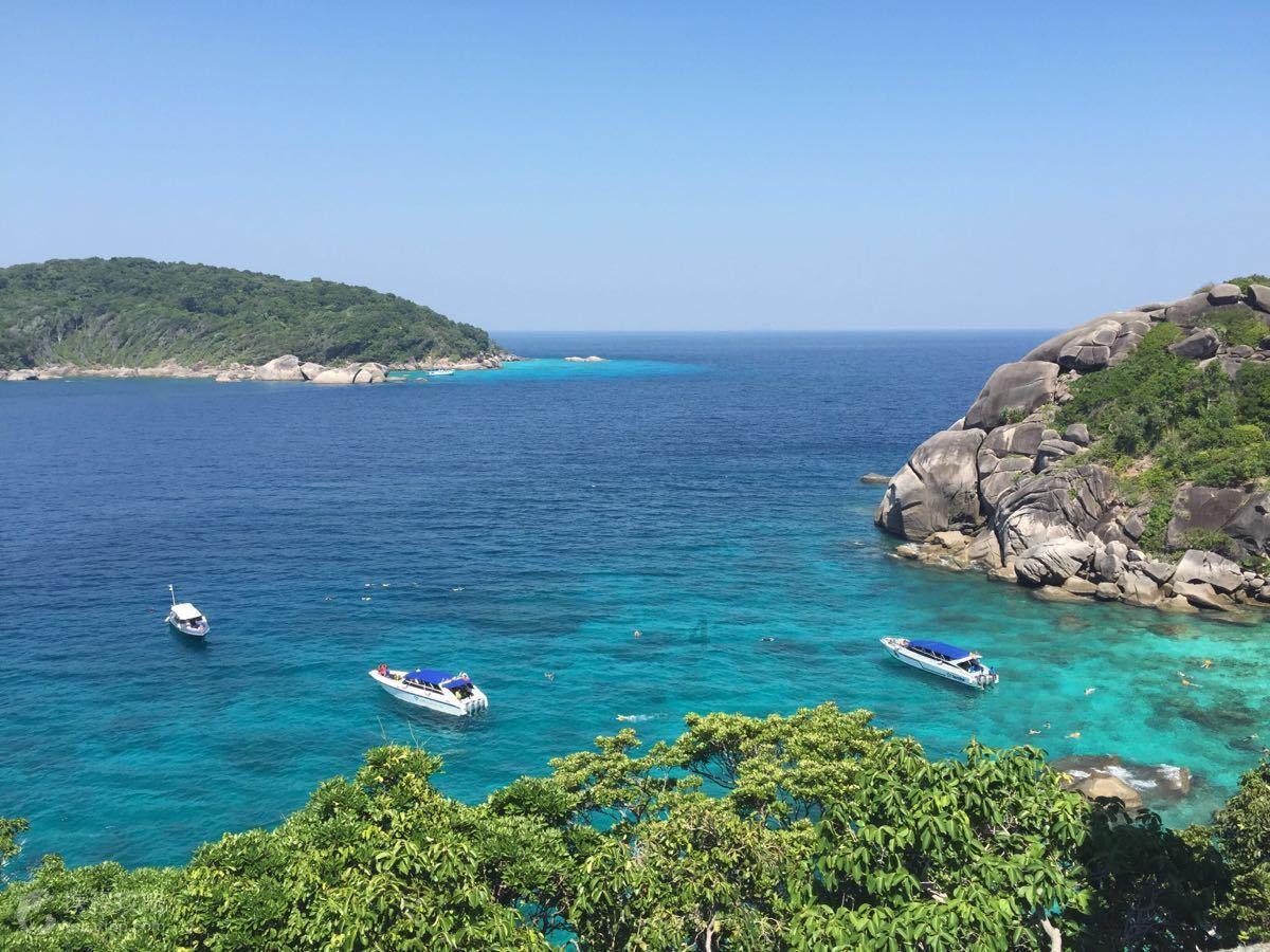 抚州资溪县鹤城镇用民生之笔绘就乡村振兴新画卷